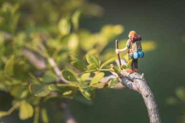 Çılgın macera kavramı, ağaçta minyatür yürüyüş modeli, gündüz, makro çekim.
