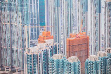 Konut binalarının ortasında turuncu turna.