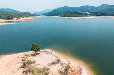 Bir adada duran tek ağaç Tai Lam Chung Reservoir, Güz, gündüz, hiç kimse