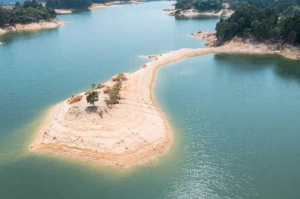 Singolo Albero Piedi Isola Tai Lam Chung Reservoir Autunno Giorno — Foto Stock
