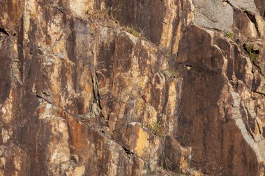Brown kayalık duvar