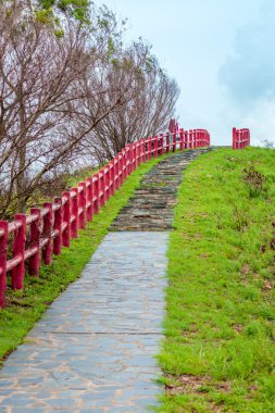 Kırmızı ahşap fench, Hong Kong ile kırsal yolu yürüyüş