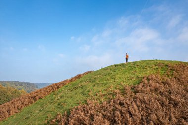 Cotswolds 'da, Dursley ve Uley yakınlarındaki tepede bir gezgin. İngiltere 'de Sonbahar Seyahati