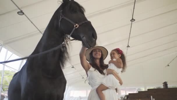Μικρό Όμορφο Κορίτσι Μαμά Στον Ιππόδρομο Ένα Μαύρο Όμορφο Άλογο — Αρχείο Βίντεο