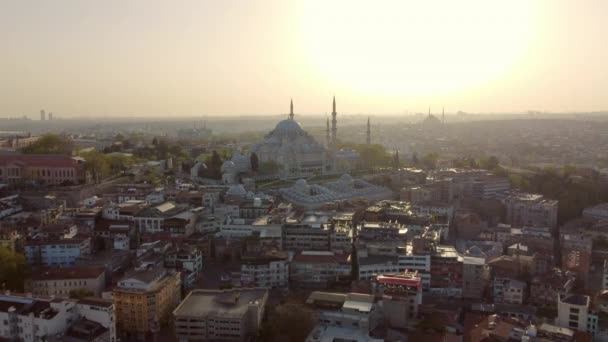 Turcja Stambuł Lot Dronem Nad Miastem Meczet Domy Zabytki Stambułu — Wideo stockowe