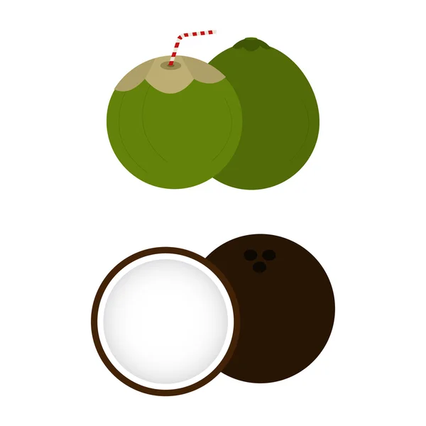 Bruna och gröna kokosnötter — Stock vektor