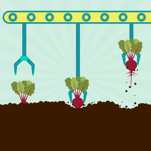Механічні збиральне інше буряк — стоковий вектор