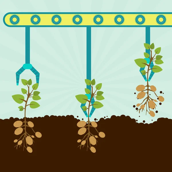Mechanische Kartoffelernte — Stockvektor