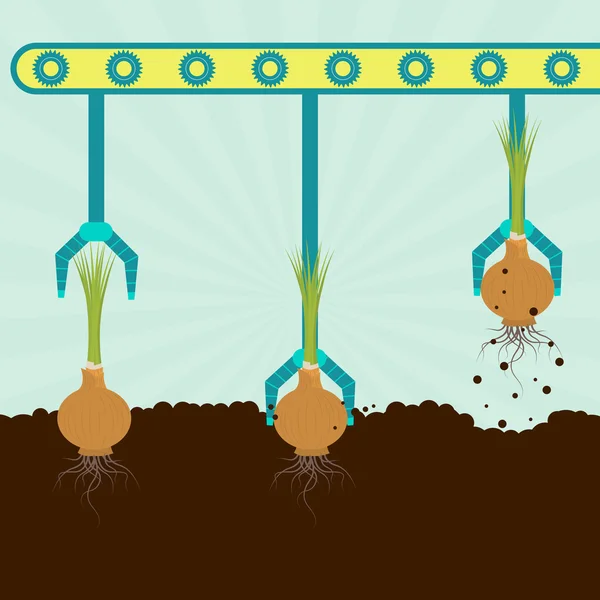 Mekanik hasat soğan — Stok Vektör