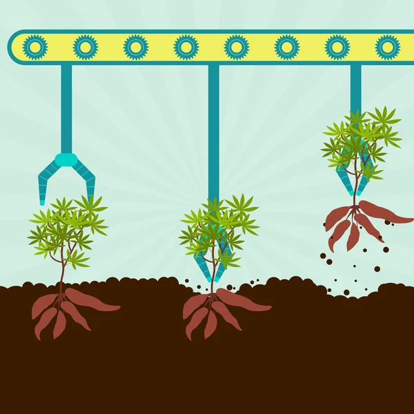 Récolte mécanique des yuccas — Image vectorielle