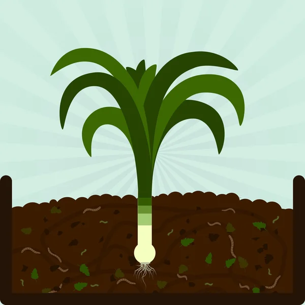 Planter du poireau et du compost — Image vectorielle