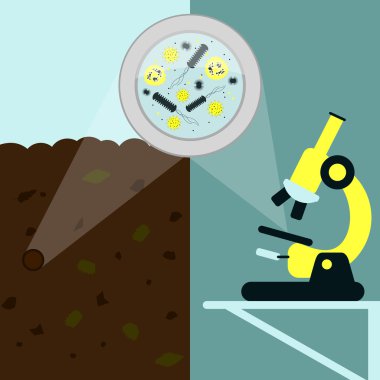 Toprak Mikrobiyoloji analizleri