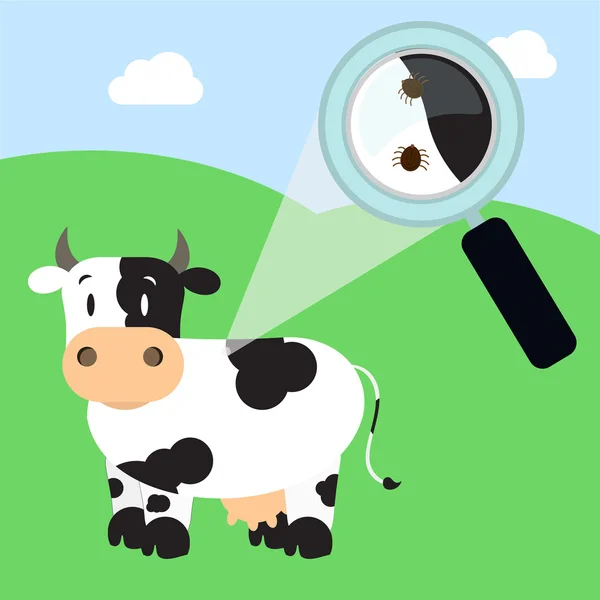 Tick in the cow — Stock Vector