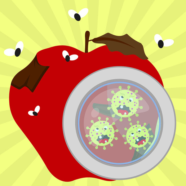 Гнилое яблоко с микробами и мухами
