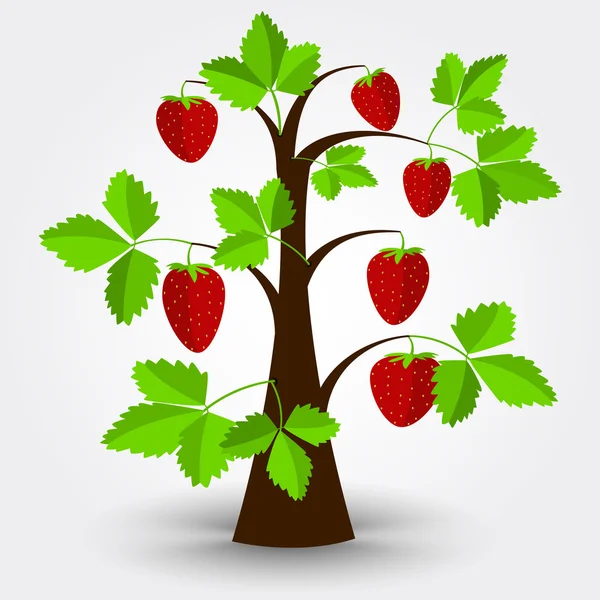 Strawberry tree — Stock Vector