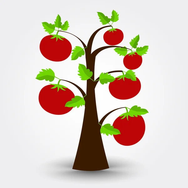 Tomato tree — Stock Vector