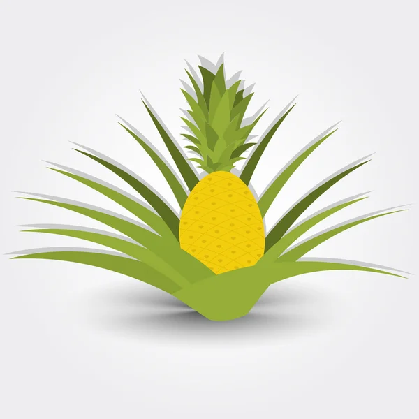 Pineapple tree — Stock Vector