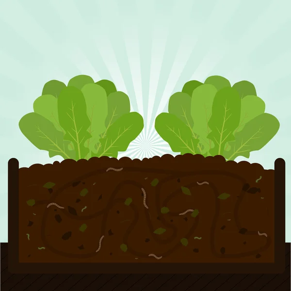 Roka ağaç ve kompost