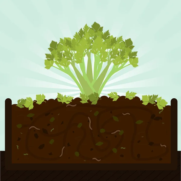 Stalk of celery and compost — Stock Illustration Stalk of celery and compost Royalty Free Stock Vectors
