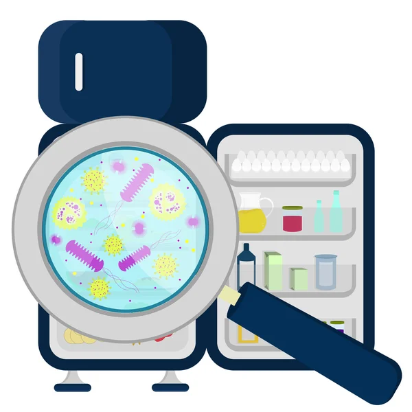 Mikroorganizmaların buzdolabı tam Tarih