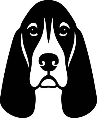 Basset Hound 'un kafası önde, uzun sarkık kulakları ve ağır göz kapakları var..