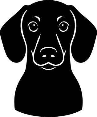 Uzun burunlu ve sarkık kulaklı Dachshund baş manzarası.