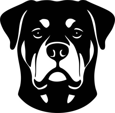 Rottweiler geniş kafatası ve güçlü özellikleri ile ön görünüm.