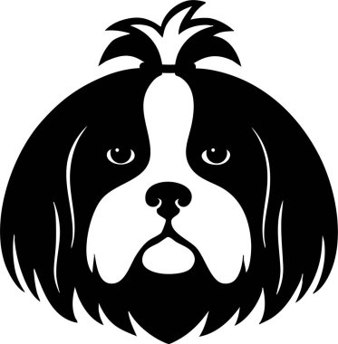 Shih Tzu uzun paltolu ve küçük burunlu baş görünümü.