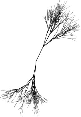 Birbirine bağlı dalları soyut bir tarzda oluşturan ağaç köklerinin vektör bileşimi.