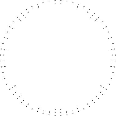 Oklar büyük boş merkez boşluğu etrafında merkeze doğru inceltirler.