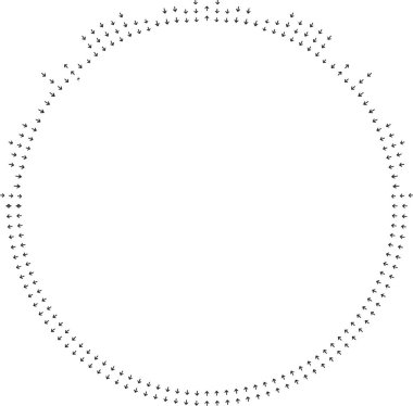 Dışarıya doğru yayılan kısa düzensiz ışınlarla dolu yarım daire..