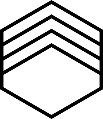 Merkezden veya kenarlardan yayılan kalın bir dış çizgi ve düz iç çizgiler ile tanımlanan çokgen.