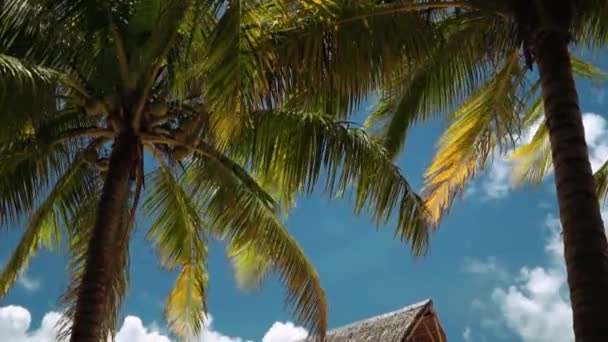 Dřevěný pavilon na bílé písečné pláži pod palmami, Daku Island, Filipíny — Stock video