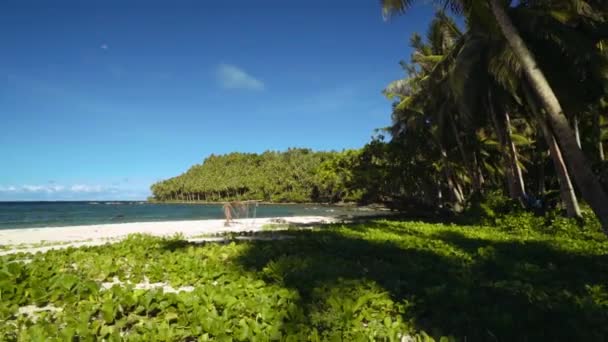 Volviendo de una playa tropical con arena y verdes vides frondosas — Vídeo de stock