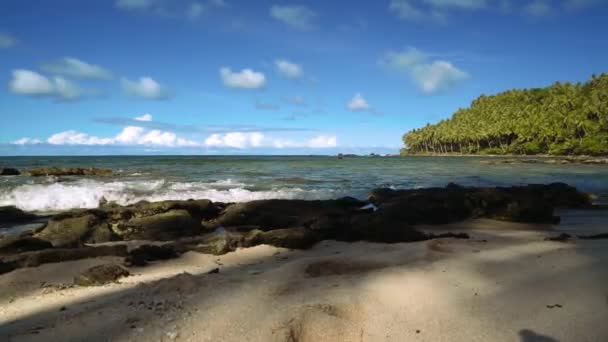Niski kąt tropikalnej plaży biały piasek, palmy i niektóre kamienie panorama — Wideo stockowe
