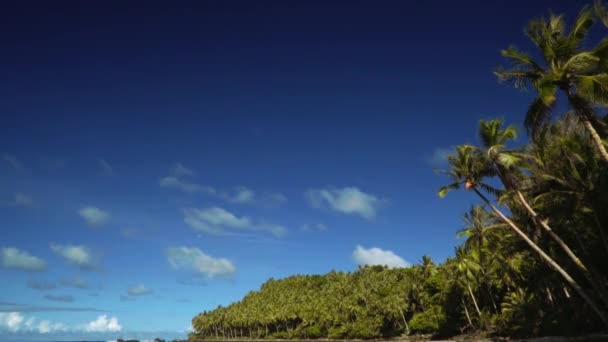 Inclinado de una hermosa playa tropical con arena blanca, palmeras y piedras — Vídeo de stock