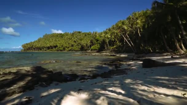 Kamera halad előre, egy gyönyörű trópusi strand fehér homokos, pálmafákkal — Stock videók