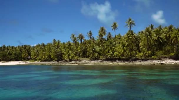 Navegar más allá de la isla tropical con palmeras y agua turquesa — Vídeos de Stock