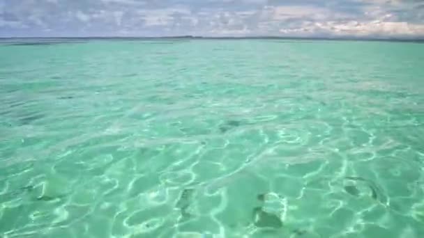 Helder turquoise water — Stockvideo