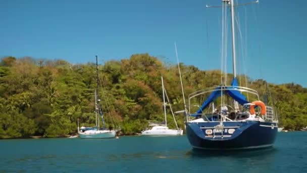 Sailing past yachts in front of tropical island with palm trees, Philippines — Stock Video
