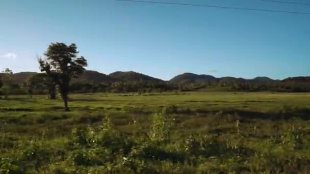 Rör sig genom fält framför hills i Siargao, Filippinerna — Stockvideo