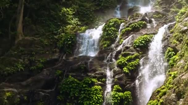 Gros plan de la belle cascade en cascade avec des vignes tropicales, incliner vers le bas — Video