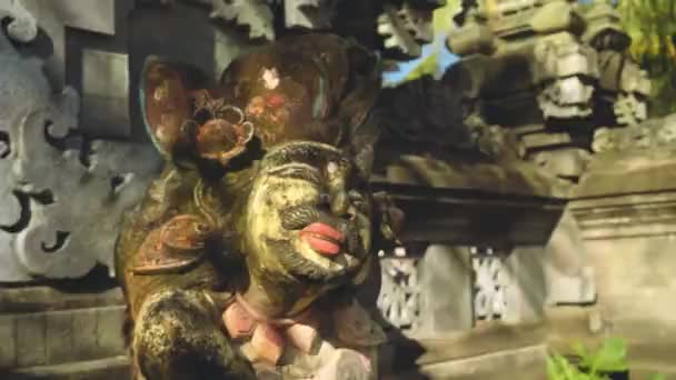 Bali jolie statue d'homme, gros plan — Video