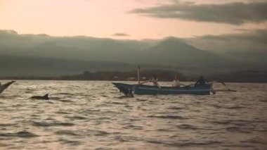 3 kişi ile tekne önünde atlama yunuslar