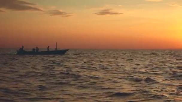 Delfines saltando delante del barco con 3 personas — Vídeo de stock