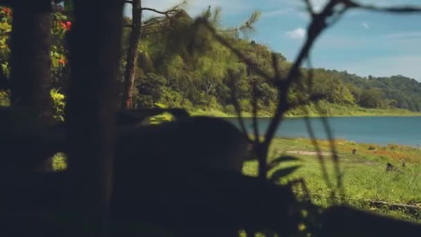 Kampeerauto rijden naar een meer omringd door heuvels — Stockvideo