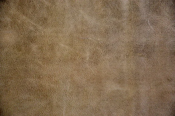 Natural Leather Texture Background Image — Stock Photo, Image