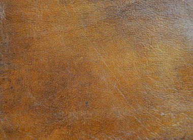 Doğal deri. Desen Arkaplan resmi.