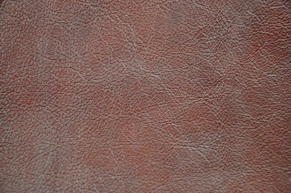 Natural Leather Texture Background Image — Stock Photo, Image