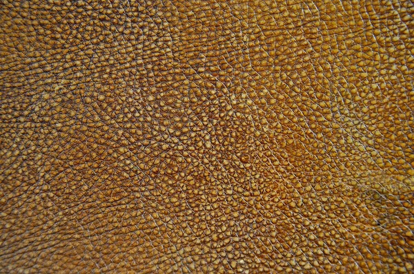 Brown Leather Texture Close Useful Background Design Work — Fotografia de Stock